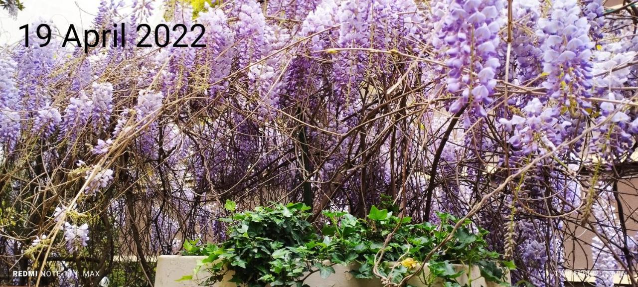 Garden House - Luxury Guest House - Overnight Stay Only Rome Luaran gambar